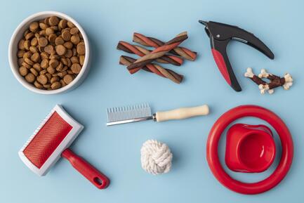 How to Help Cat Groom: Expert Tips for a Happy, Healthy Pet