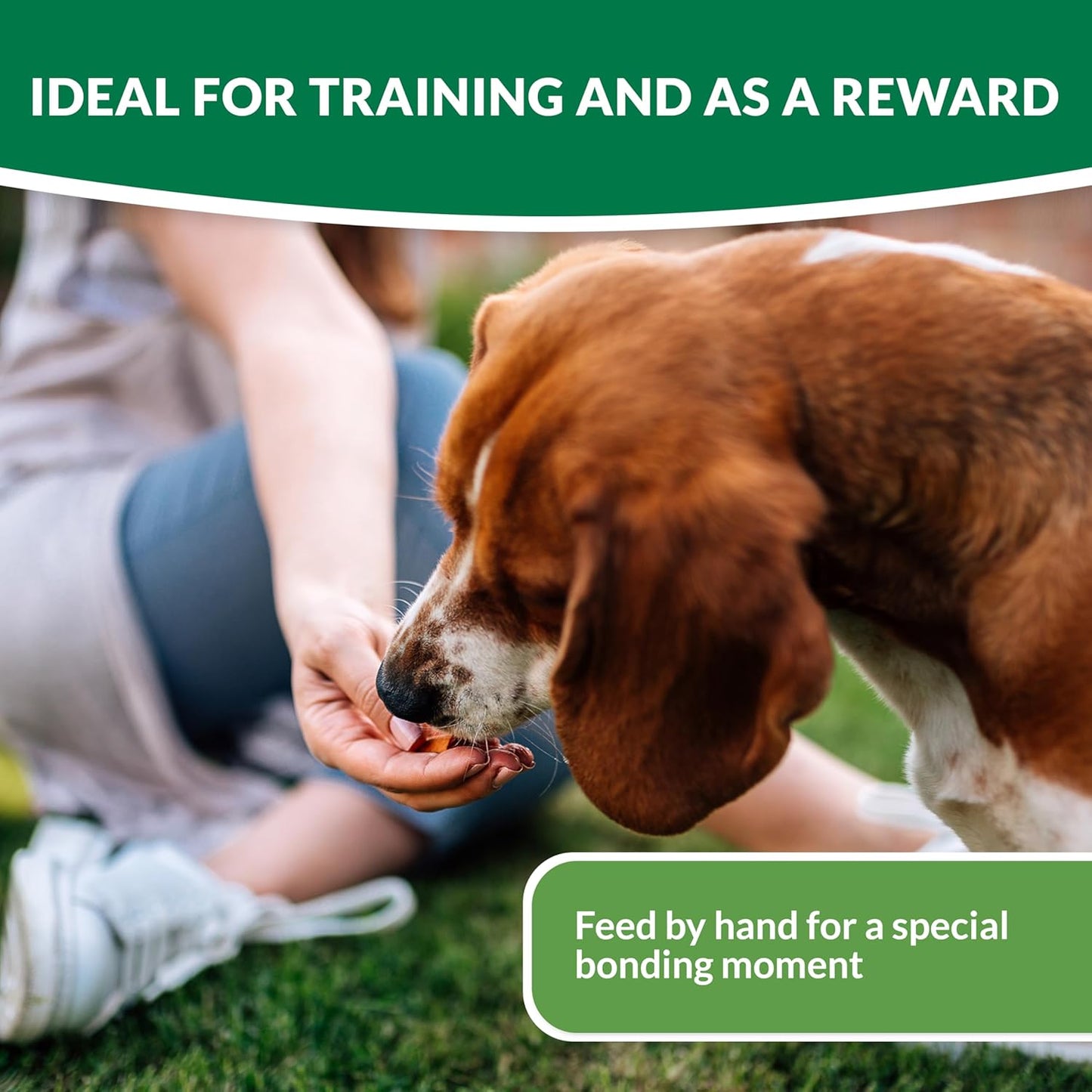 Churu Bites 8 Pack Dog Treat - Chicken Recipe wraps Chicken Recipe - 8 x 12g