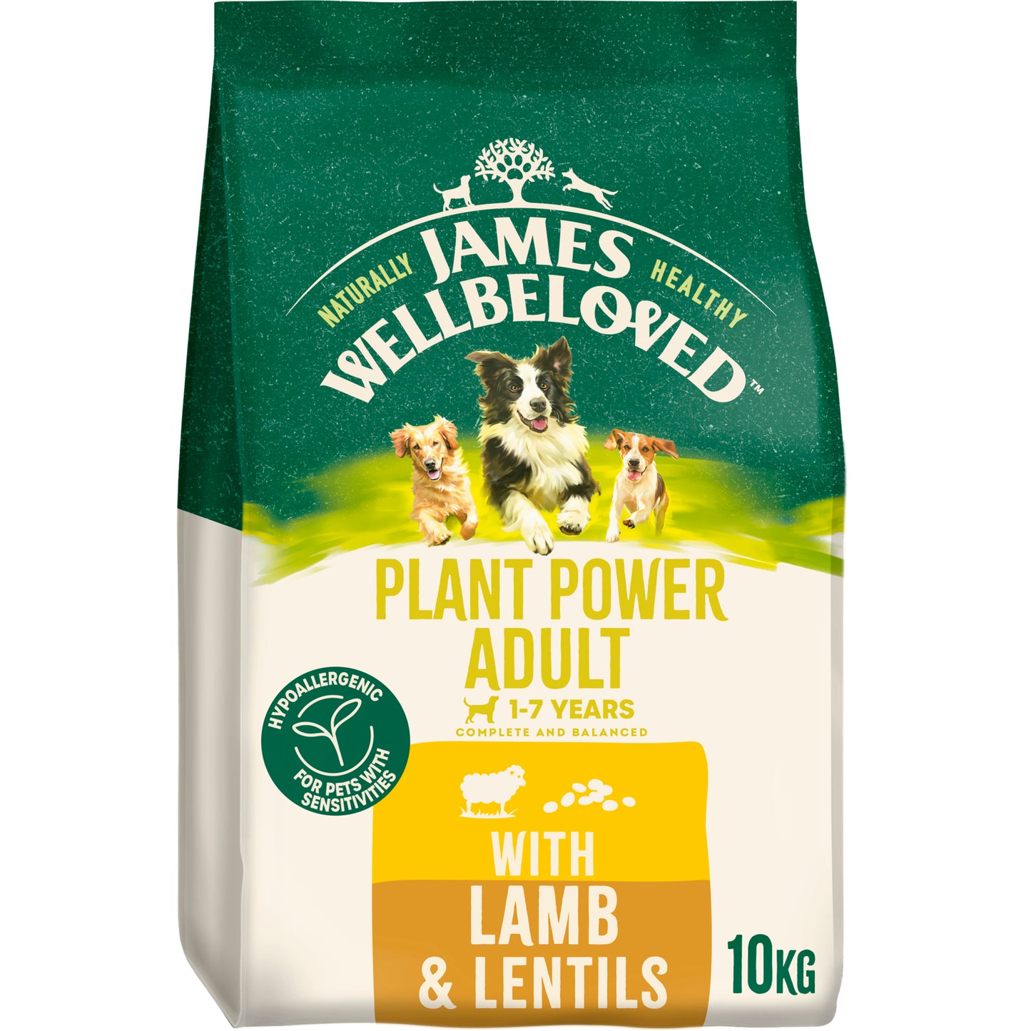James Wellbeloved Adult Plant Power with Lamb