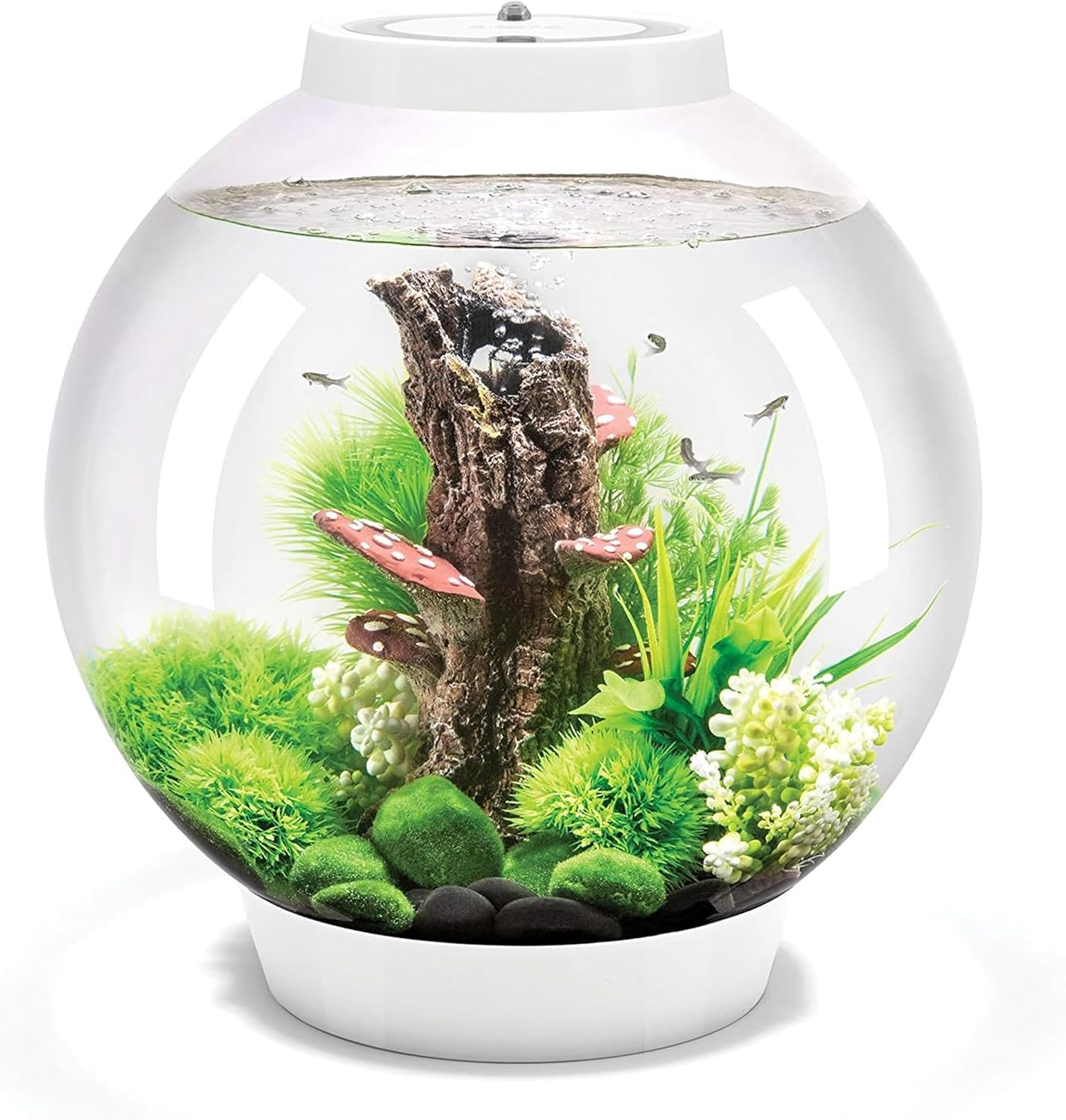 Biorb Classic 30 Aquarium with Multi Colour LED light