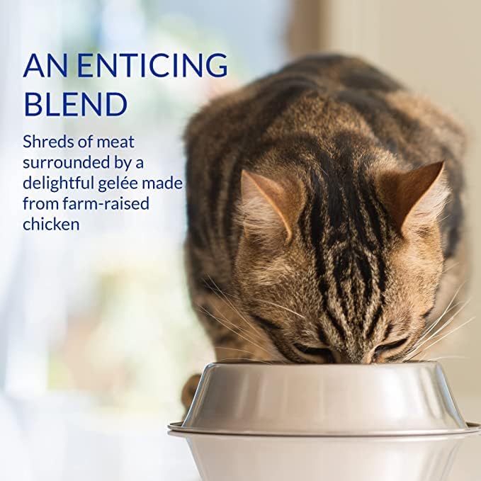 Ciao Stew Cat Treat - Chicken & Tuna Recipe - 40 g