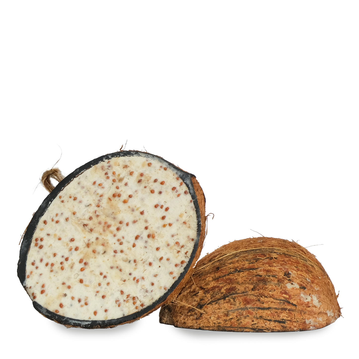 Suet to Go Suet Half Coconut Feeder Wild Bird Food - Mealworm - 10 Pack