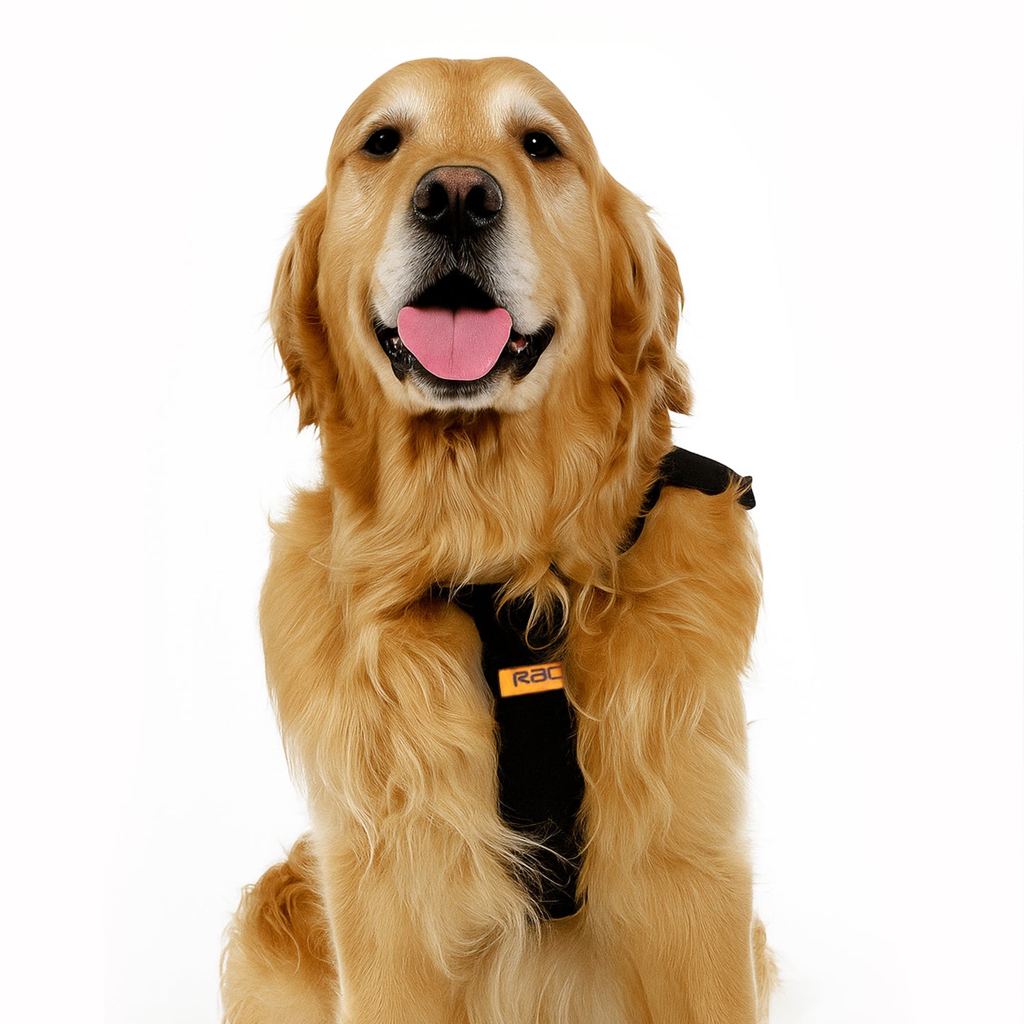 RAC 2-In-1 Max Chest Dog Car Harness