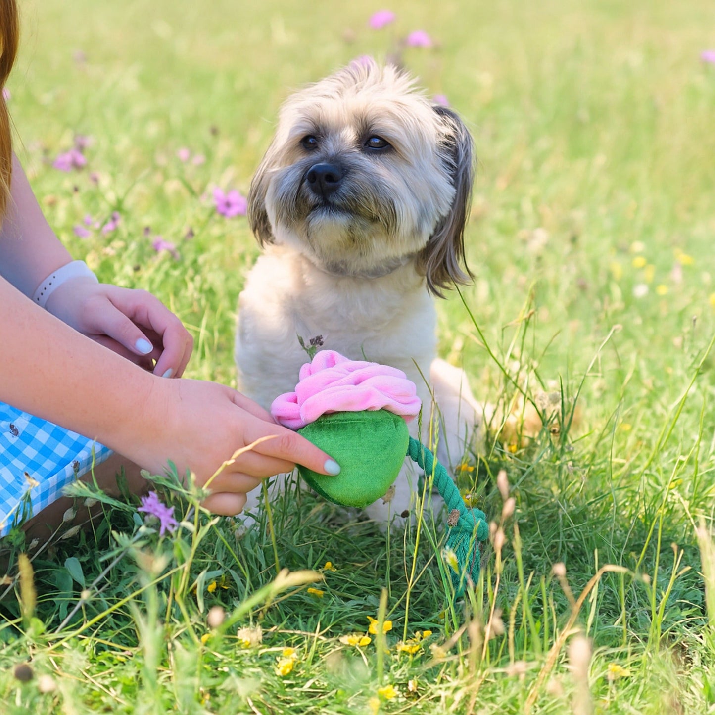 Cath Kidston Dolly Rose Rope Dog Toy - One Size