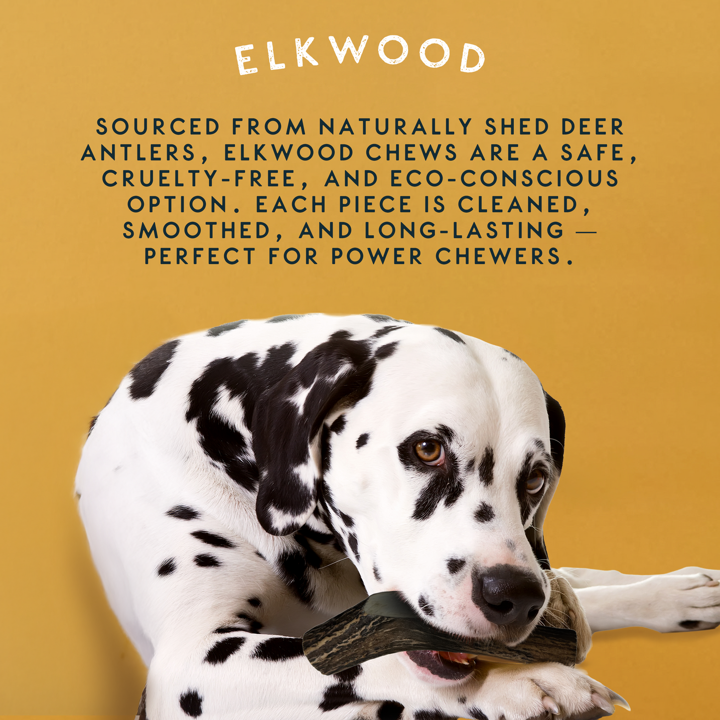 Elkwood 100% Natural Antler Chew Giant