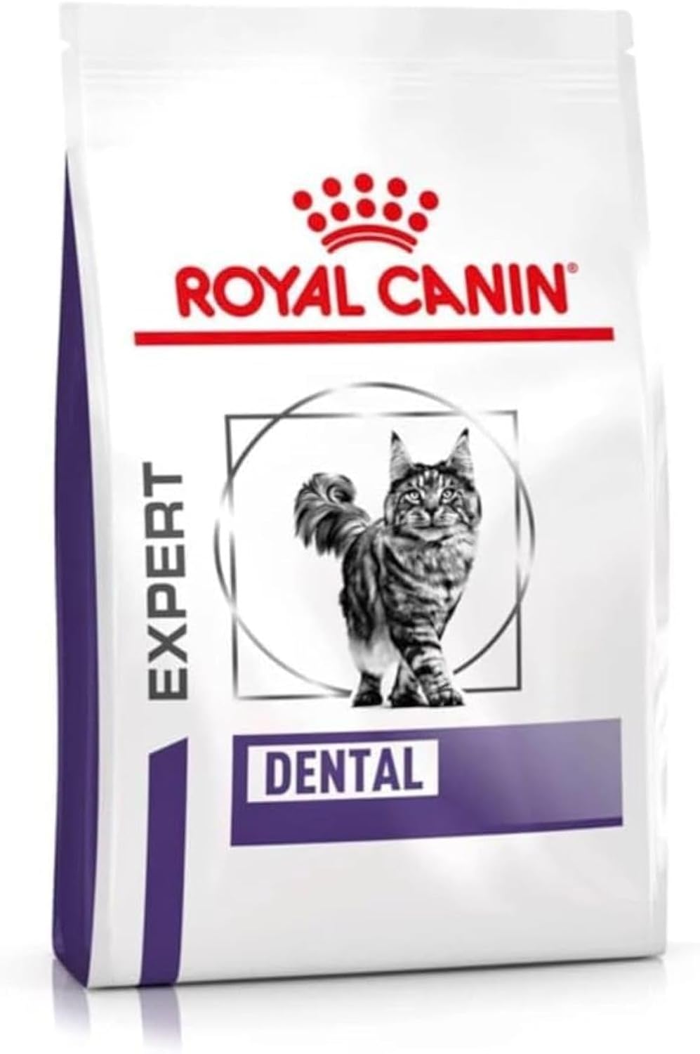 Cat dental dry food hotsell