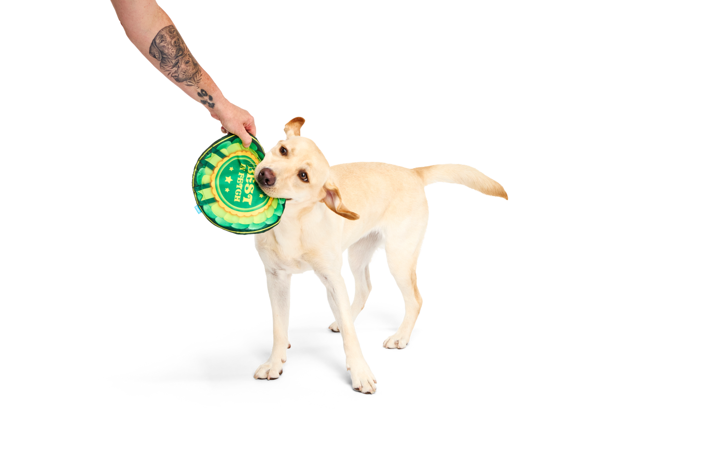 BARK X Crufts Throwsette Disc Dog Toy