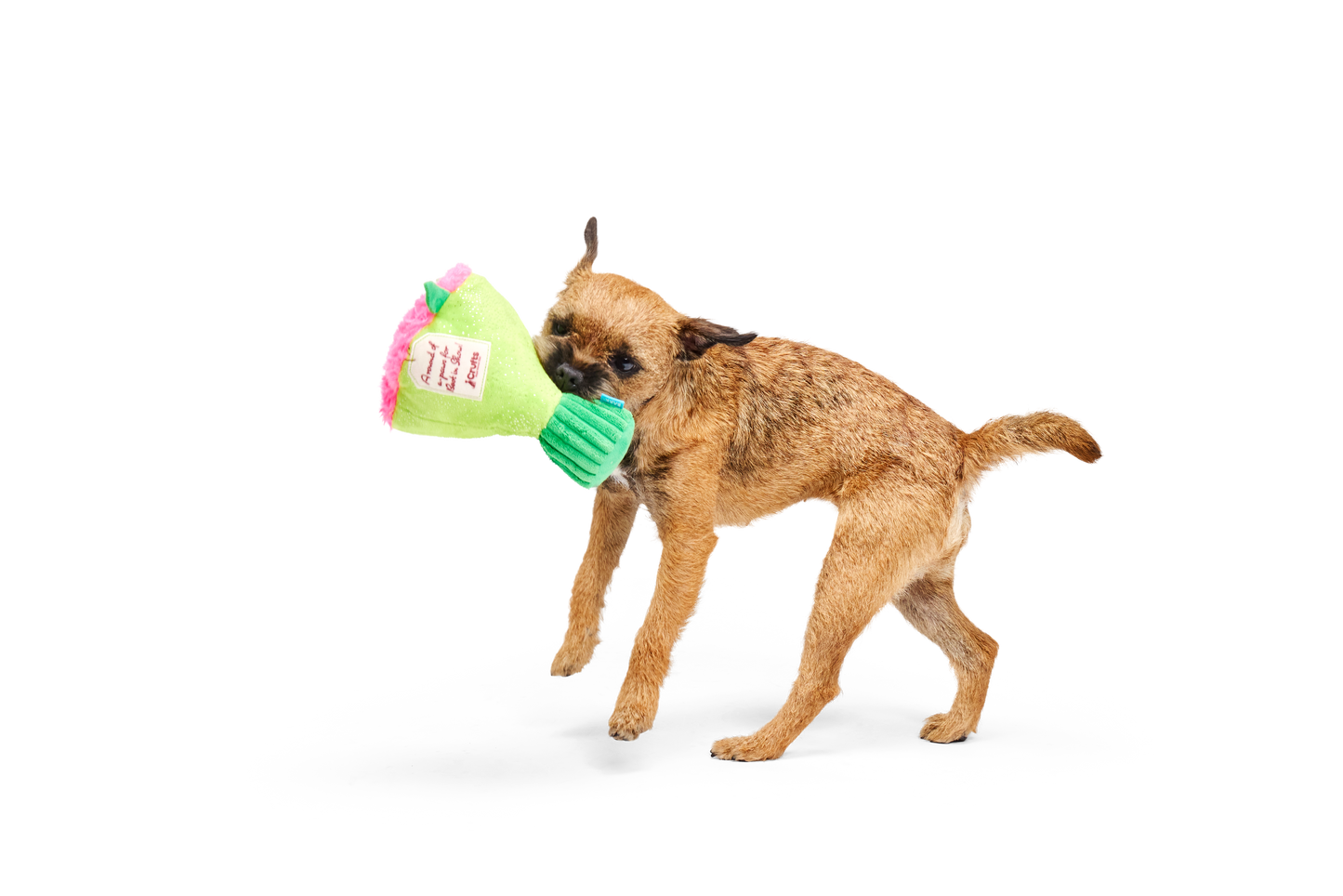 BARK X Crufts Boopquet of Roses Dog Toy