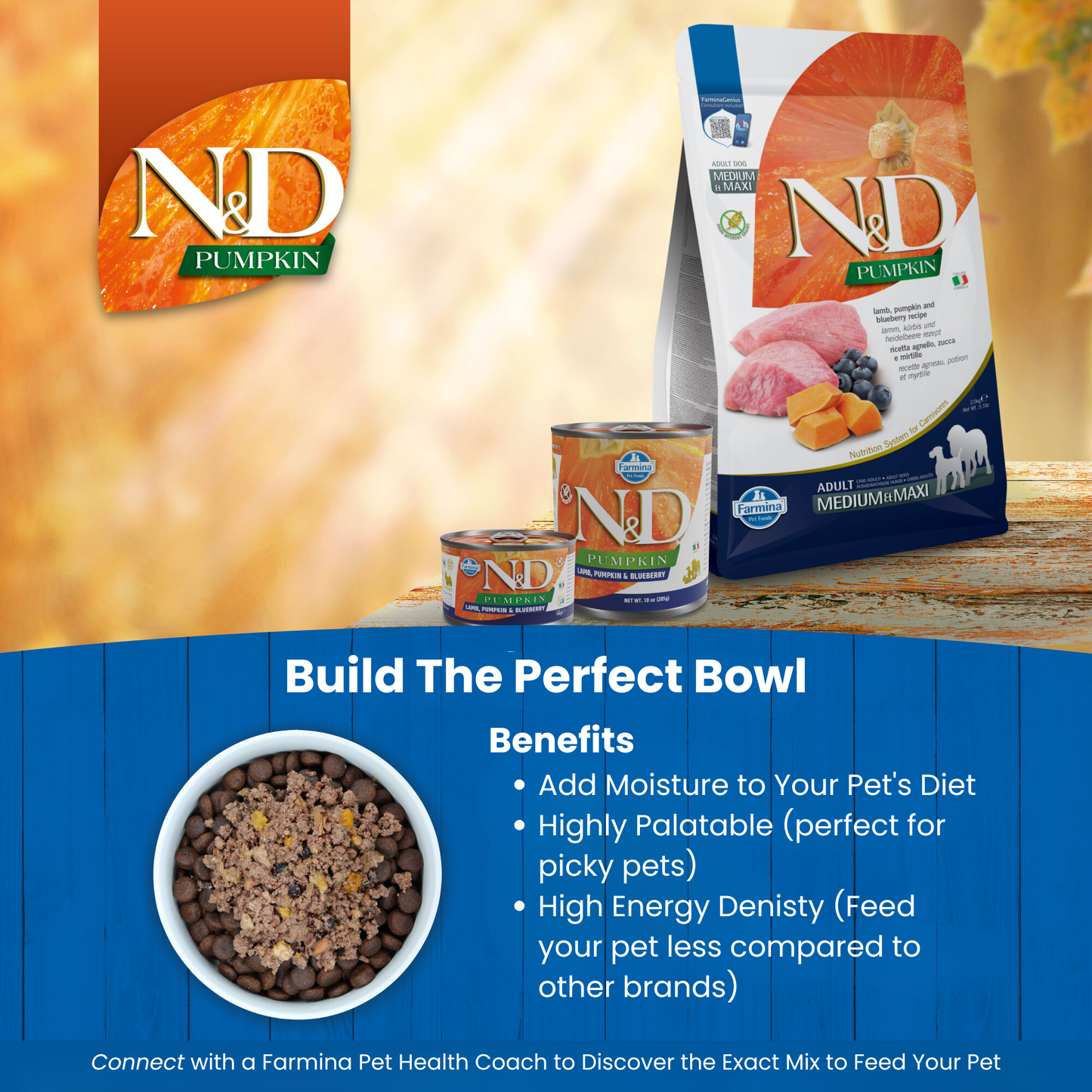 N&D Pumpkin Puppy Wet Dog Food - Lamb, Pumpkin & Blueberry
