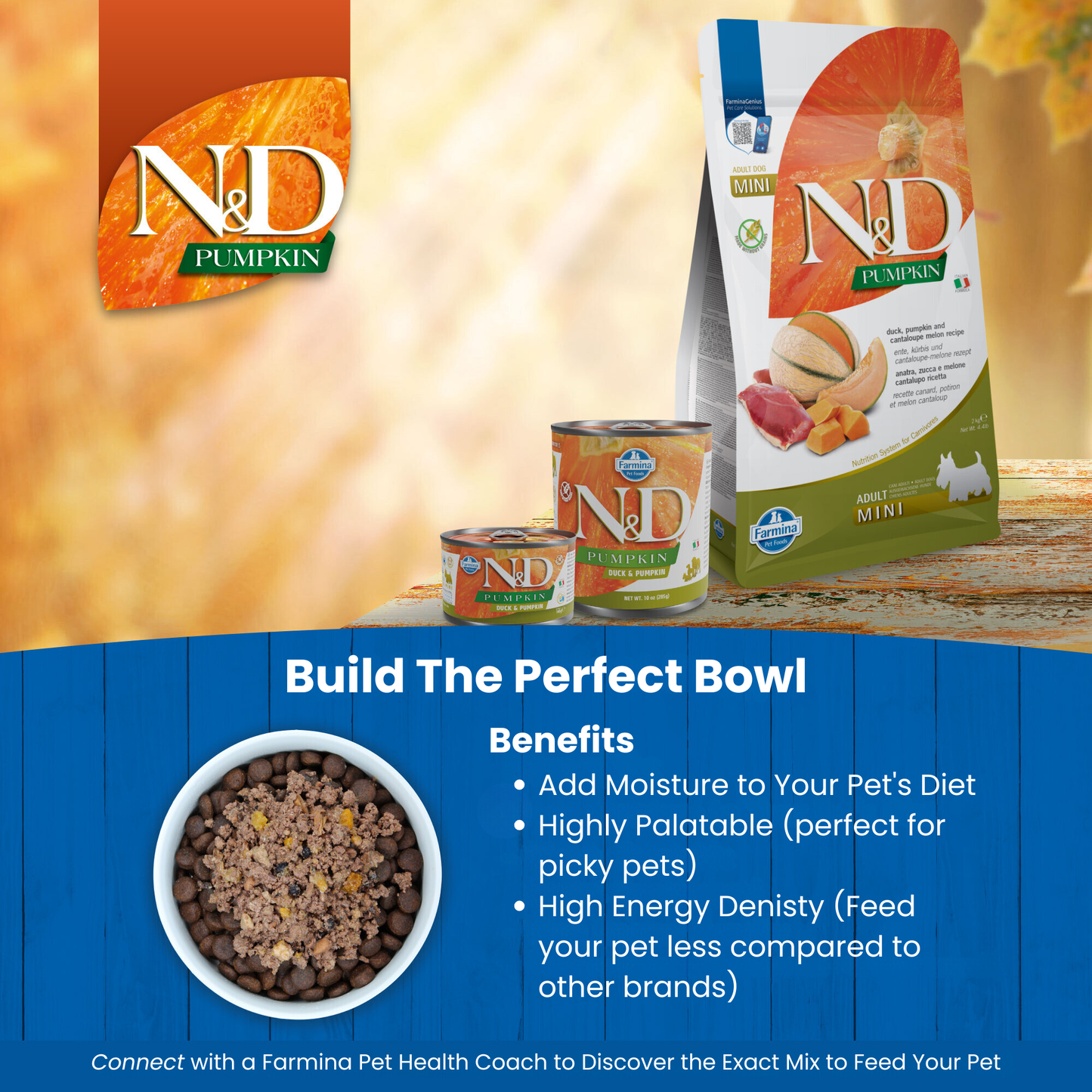 N&D Pumpkin Adult Wet Dog Food - Duck & Pumpkin