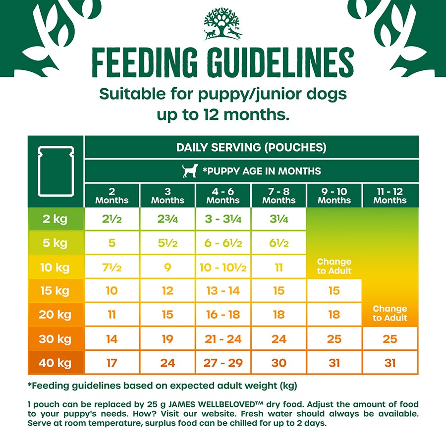 James Wellbeloved Grain Free Puppy Turkey in Gravy Pouch 12 x 90g