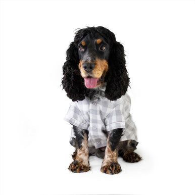 Rosewood Christmas Pyjamas Adult Dog Coat