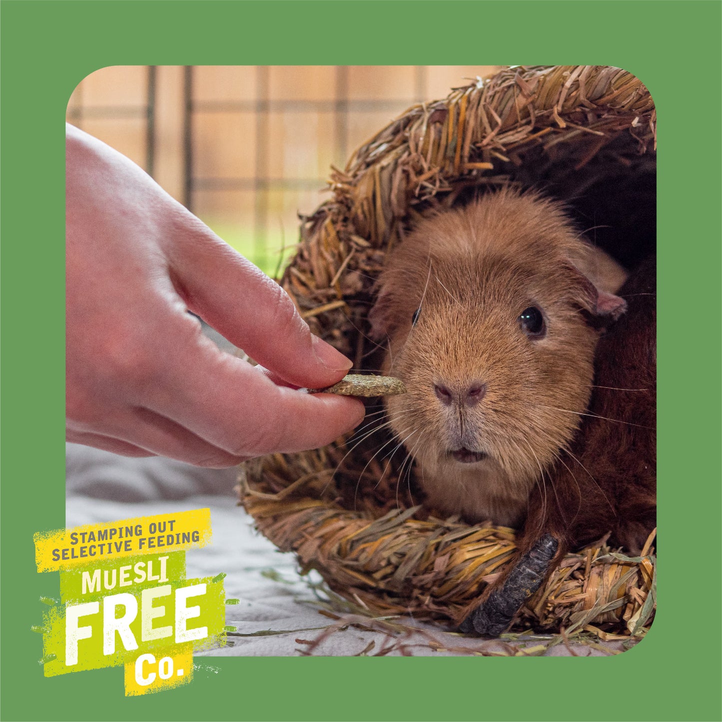 Burgess Excel Nature Snacks Herby Hearts Treats - Mixed Herbs & Apple