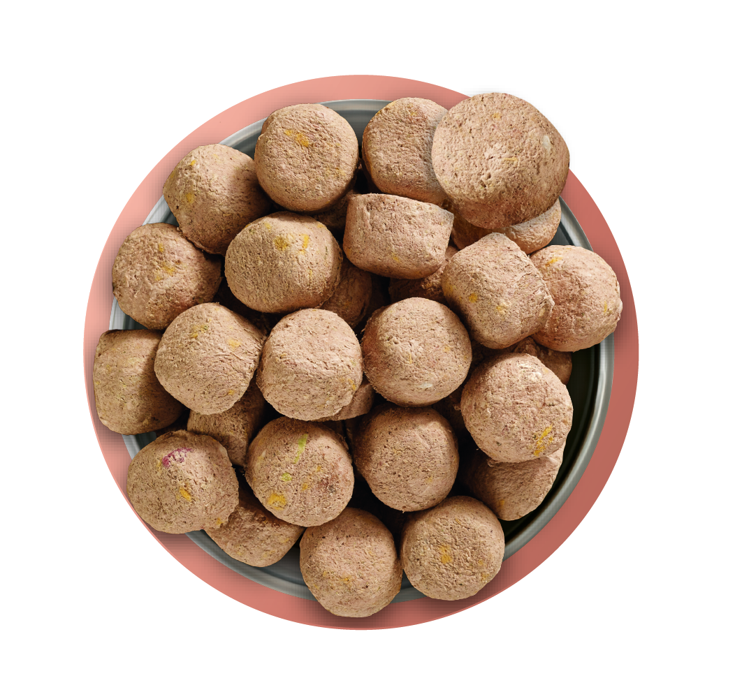 Natures Menu Raw Freeze Dried Complete and Balanced Adult Beef Dry Dog Food