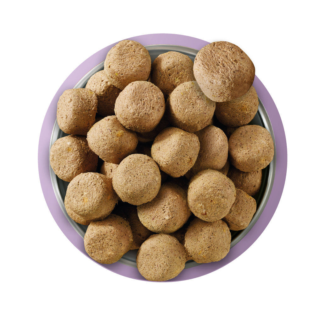 Natures Menu Raw Freeze Dried Complete and Balanced Adult Turkey Dry Dog Food