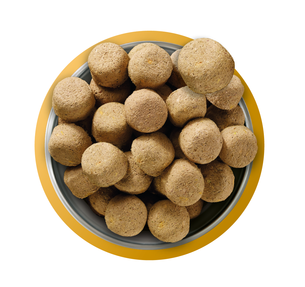 Natures Menu Raw Freeze Dried Complete and Balanced Adult Chicken Dry Dog Food