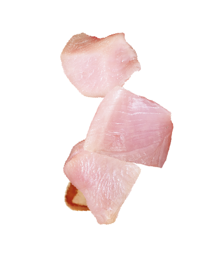 Natures Menu Raw Freeze Dried Turkey Bites Dog Treats