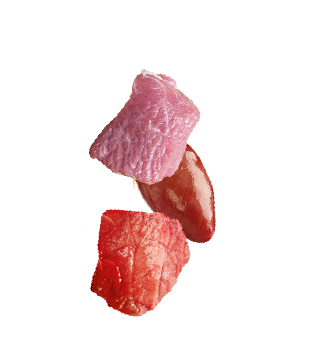 Natures Menu Raw Freeze Dried Lamb Bites Dog Treats