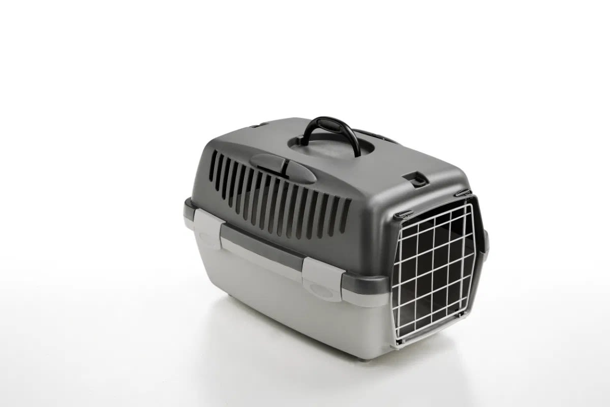 Front View of Stefanplast Gulliver 1 Pet Carrier with Metal Door