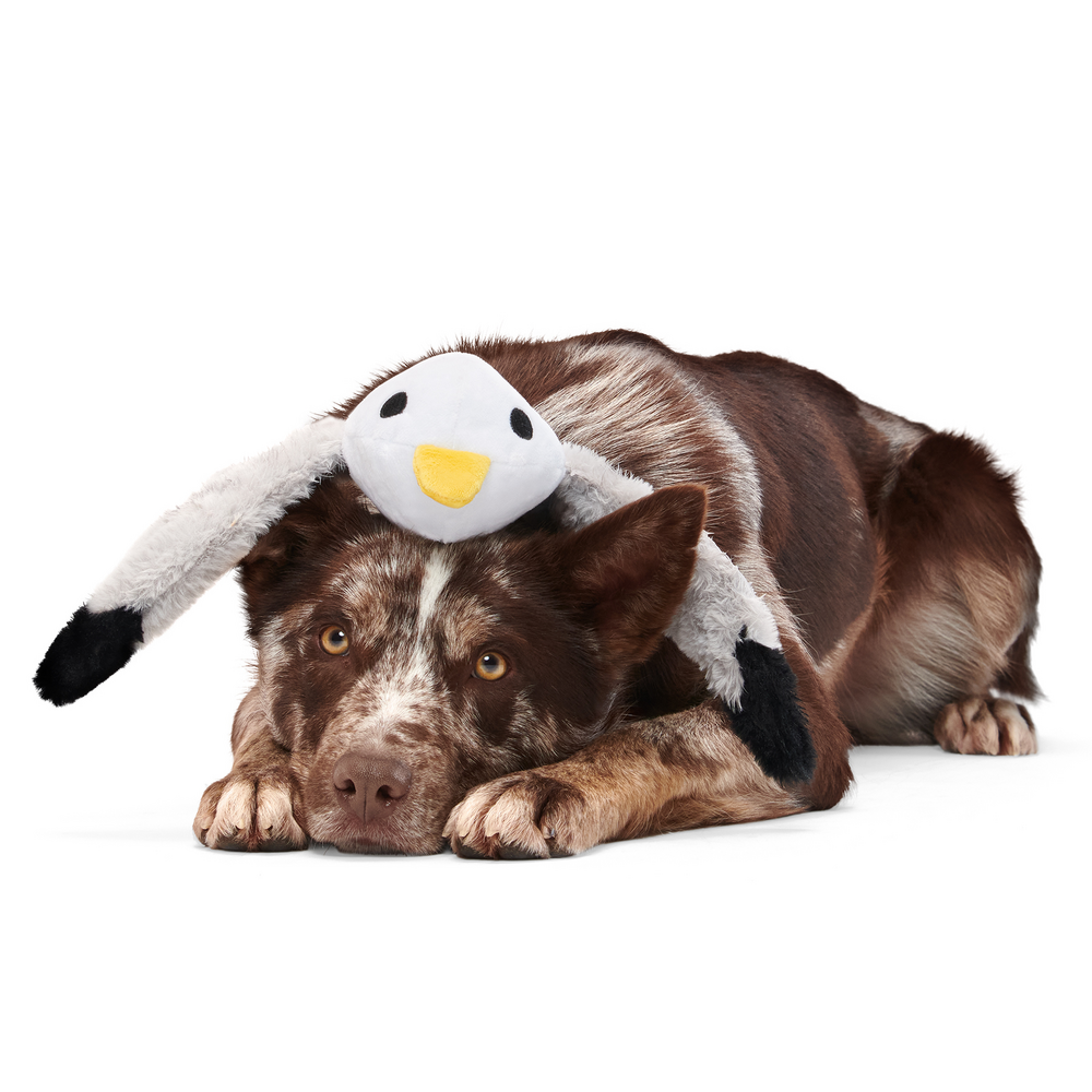 BARK Sully The Gully Dog Toy