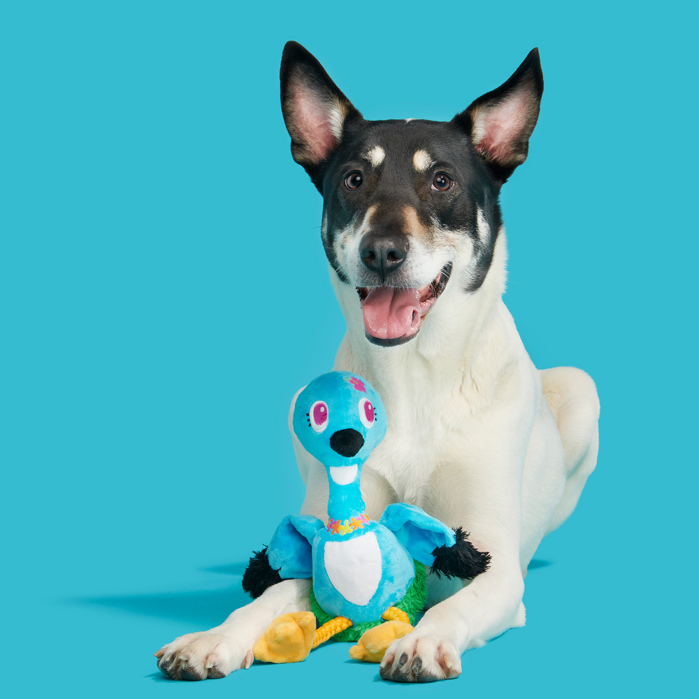 BARK Ani The Nene Goose Dog Toy