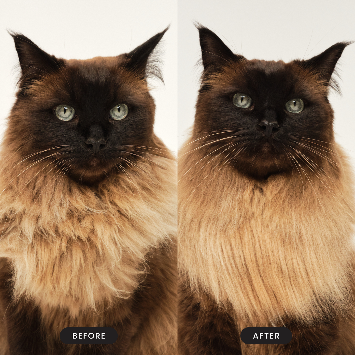 Pet Teezer Detangling Cat Grooming Brush Green
