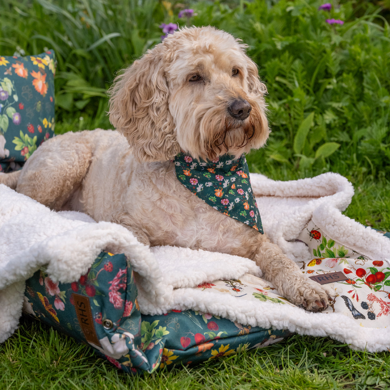 Royal Horticultural Society Pets in the Garden Printed Sherpa Blanket