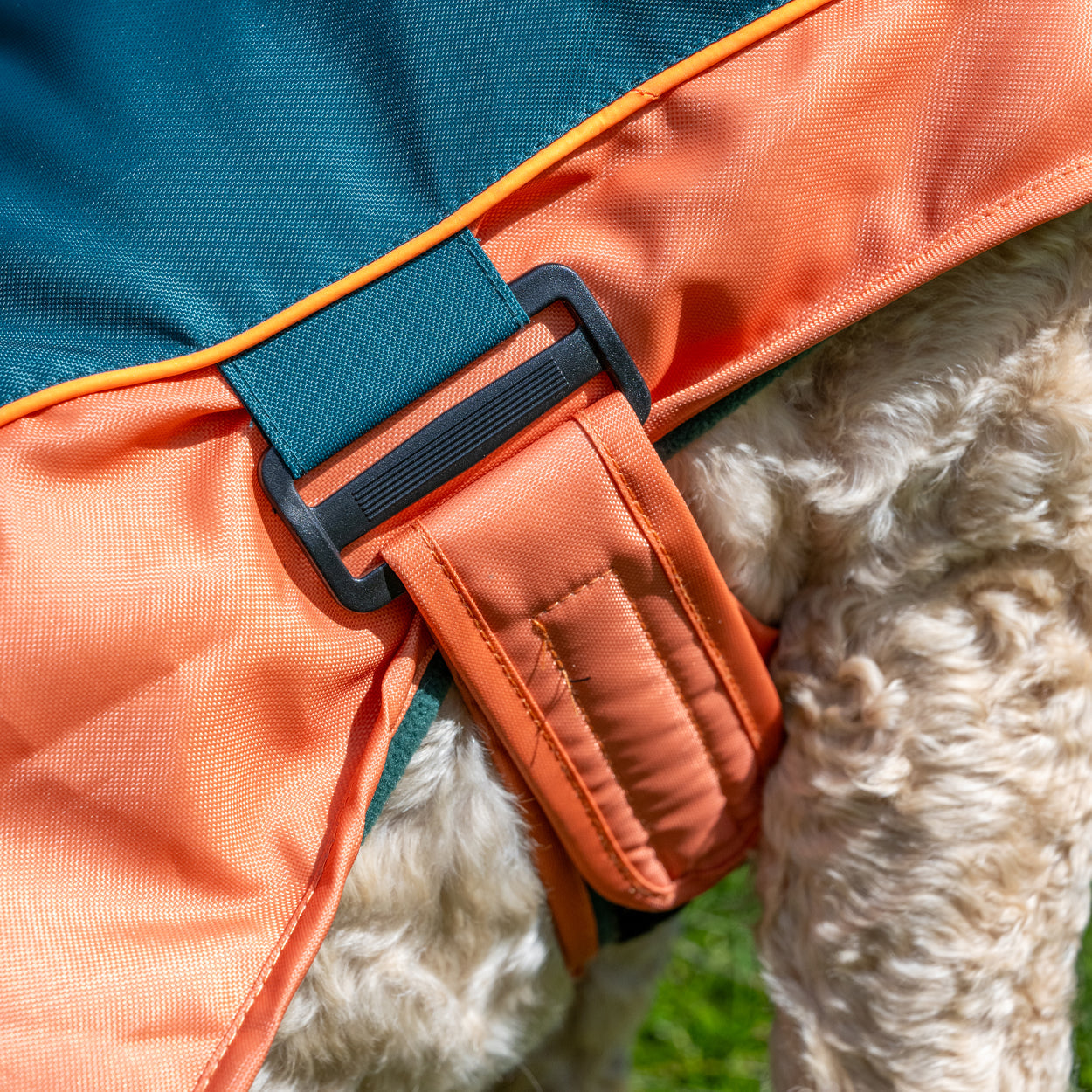Royal Horticultural Society Pets in the Garden Water Resistant Coat