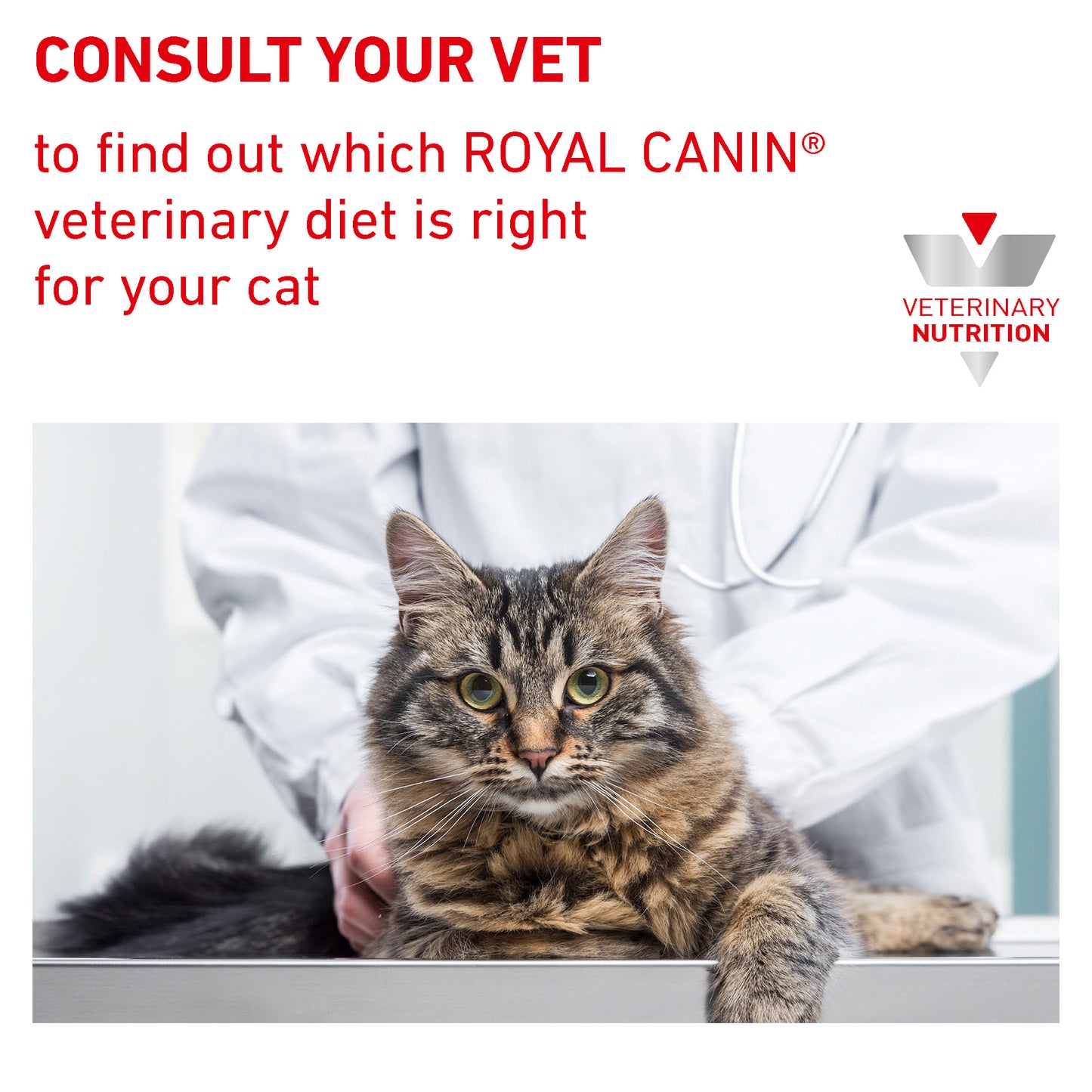 Royal Canin Gastrointestinal Thin Slices in Gravy Adult Wet Cat Food 12 x 85g
