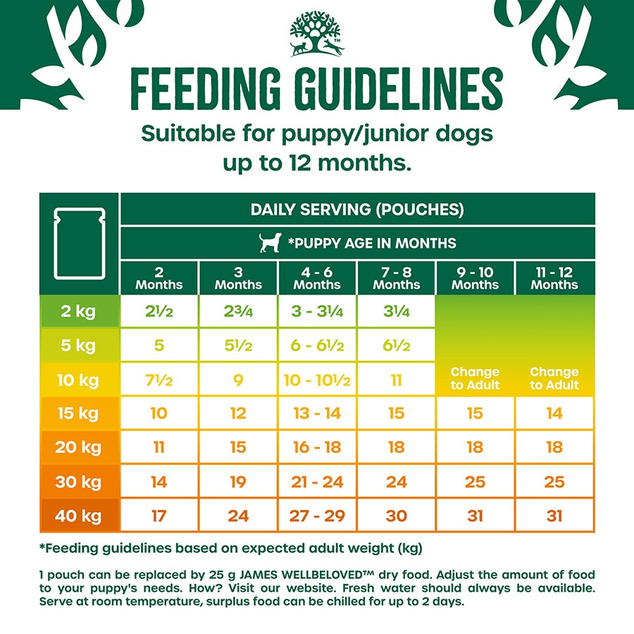 James Wellbeloved Grain Free Puppy Lamb and Chicken Gravy Pouch 12x90g