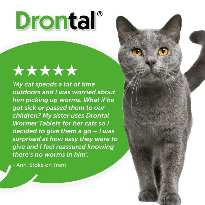 Drontal Wormer Tablets for Small and Medium Cats (2 to 4kg)