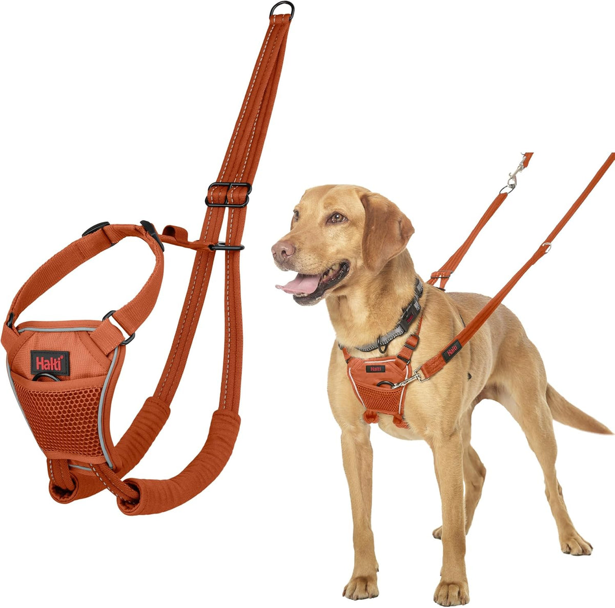 Halti Train No Pull Harness Burnt Orange