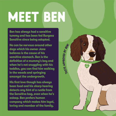 Burgess Sensitive Hypoallergenic Adult Complete Dry Dog Food Lamb Rice