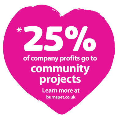 Burns Penlan Farm Senior Wet Dog Food Pouches Lamb Brown Rice Vegetables