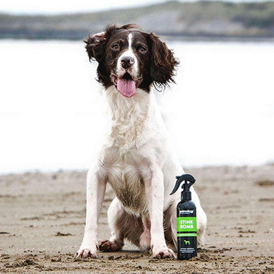 Animology Stink Bomb Refreshing Dog Spray