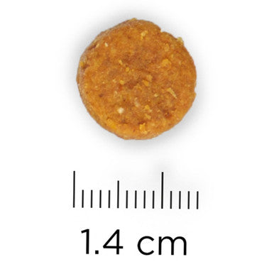 Hills Science Plan Medium Adult Dry Dog Food Tuna Rice