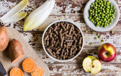 Forthglade Cold Pressed No Grain Chicken Veg