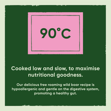 Beco Pets Eco Conscious Adult Dry Dog Food Wild Boar with Pumpkin Broccoli