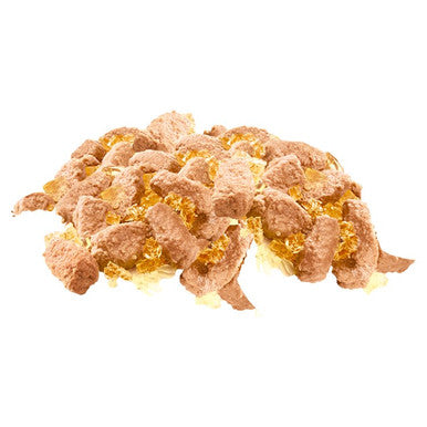 Pedigree Senior Wet Dog Food Pouches Meat Selection in Jelly