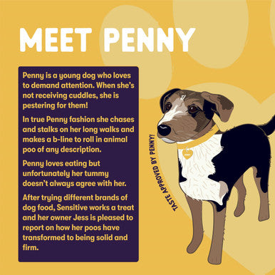 Burgess Sensitive Adult Hypoallergenic Turkey Rice Dry Dog Food