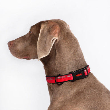 Halti Red Dog Collar