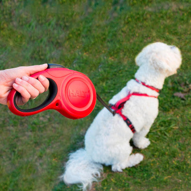 Halti Retractable Dog Lead Black