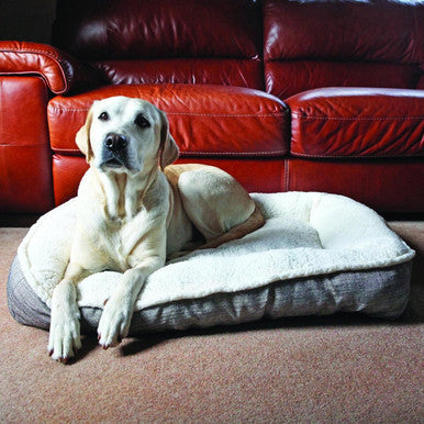 Rosewood 40 Winks Plush Tweed Teddy Bear Dog Bed Mattress