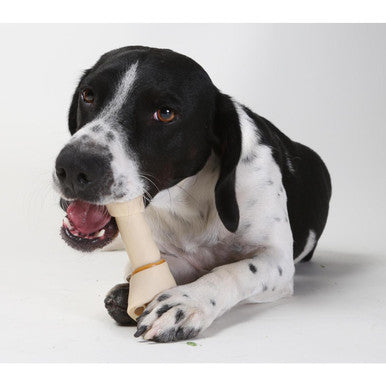 SmartBones Chicken Large Bone Dog Treat Pack of 1