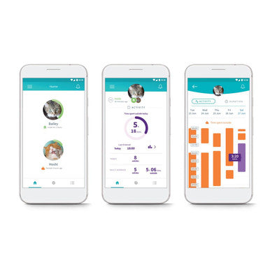 SureFlap Microchip Cat Flap Connect