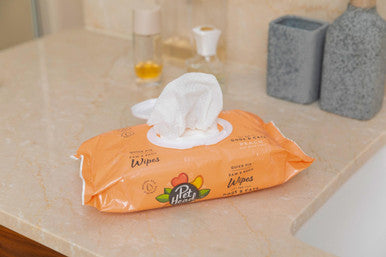 Pet Head Quick Fix Wipes for Dog and Cat