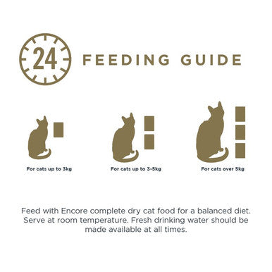 Encore Adult Wet Cat Food Pouches Fish Selection in Broth