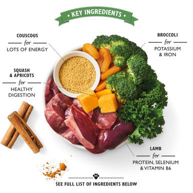 Lilys Kitchen Lamb Tagine Tray for Dogs