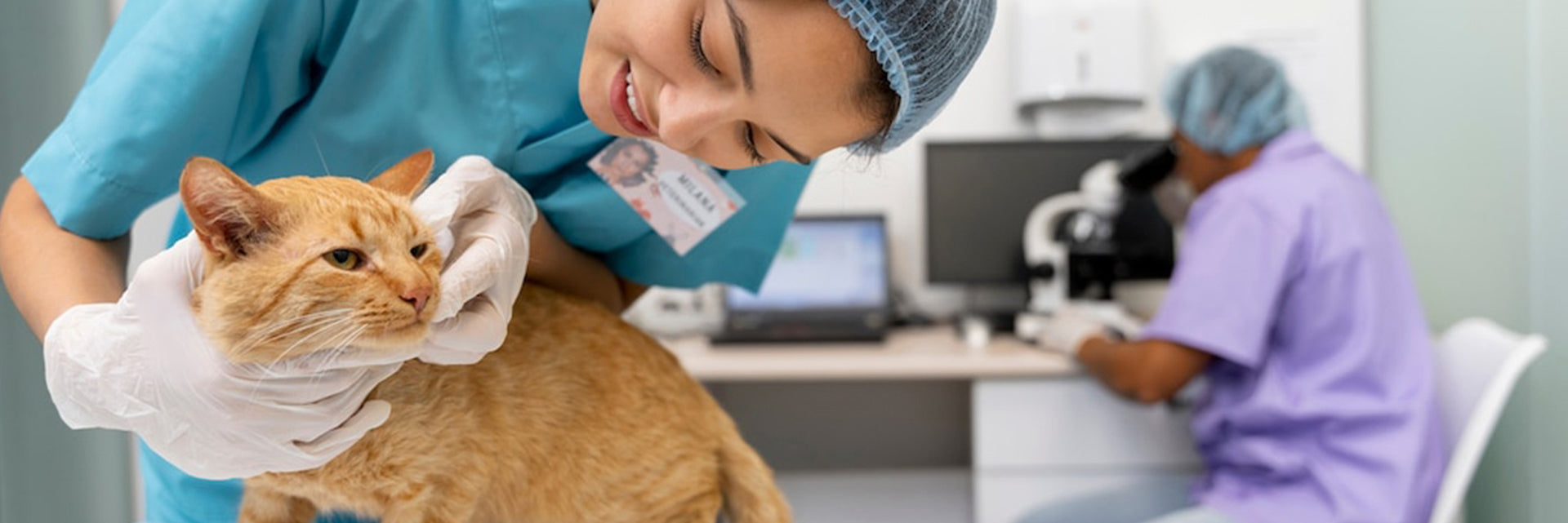 Dental Disease in Cats 