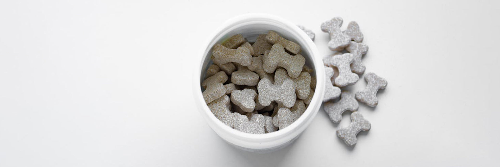  Best Joint Supplements for Dogs